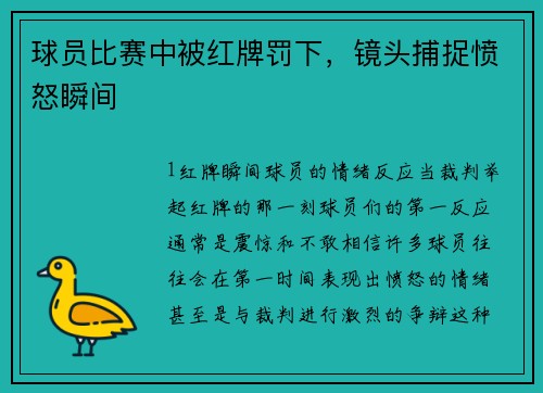 球员比赛中被红牌罚下，镜头捕捉愤怒瞬间